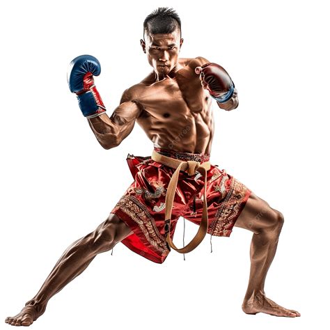 Kick boxing muayChi non si informa adeguatamente in anticipo corre il rischio di ricevere kick boxing muay che non hanno la funzione desiderata o sono realizzati con materiali di qualità inferiore. Se volete un prodotto che soddisfi al meglio le vostre aspettative, dovreste provare un kick boxing muay.
  <p>Per i prodotti si possono trovare test online e confronti tra i prodotti.  I confronti tra i prodotti possono aiutare a confrontare le diverse funzioni o proprietà dei diversi prodotti. Di seguito, spieghiamo perché la ricerca è importante e di cosa si dovrebbe essere consapevoli quando si acquista un articolo.
</p>

<h2>Acquisto di Kick boxing muay - criteri importanti</h2>

<p>Una lista di controllo può aiutarti a evitare di dover cercare informazioni sui prodotti su decine di siti web. Di seguito è riportato un esempio di una lista di controllo che può aiutarvi a trovare il prodotto giusto. Importanti criteri di acquisto includono, ad esempio:
</p><ul>
<li>Opinioni dei clienti</li>
<li>Confronti dei prezzi</li>
<li>Dettagli del prodotto</li>
<li>Termini e condizioni di consegna</li>
<li>Domande dei clienti e risposte dei marchi</li>
</ul>
<h2>Qual è l