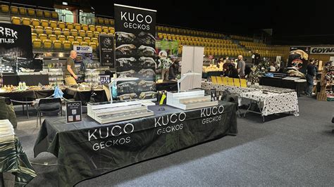 KucoChi non si informa adeguatamente in anticipo corre il rischio di ricevere kuco che non hanno la funzione desiderata o sono realizzati con materiali di qualità inferiore. Se volete un prodotto che soddisfi al meglio le vostre aspettative, dovreste provare un kuco.
  <p>Per i prodotti si possono trovare test online e confronti tra i prodotti.  I confronti tra i prodotti possono aiutare a confrontare le diverse funzioni o proprietà dei diversi prodotti. Di seguito, spieghiamo perché la ricerca è importante e di cosa si dovrebbe essere consapevoli quando si acquista un articolo.
</p>

<h2>Acquisto di Kuco - criteri importanti</h2>

<p>Una lista di controllo può aiutarti a evitare di dover cercare informazioni sui prodotti su decine di siti web. Di seguito è riportato un esempio di una lista di controllo che può aiutarvi a trovare il prodotto giusto. Importanti criteri di acquisto includono, ad esempio:
</p><ul>
<li>Opinioni dei clienti</li>
<li>Confronti dei prezzi</li>
<li>Dettagli del prodotto</li>
<li>Termini e condizioni di consegna</li>
<li>Domande dei clienti e risposte dei marchi</li>
</ul>
<h2>Qual è l