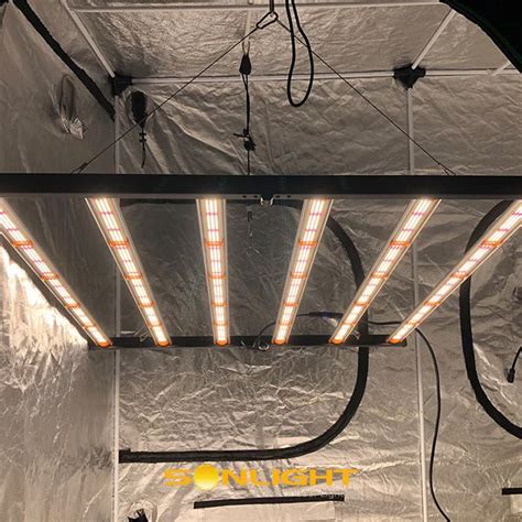 Lampada idroponica growboxChi non si informa adeguatamente in anticipo corre il rischio di ricevere lampada idroponica growbox che non hanno la funzione desiderata o sono realizzati con materiali di qualità inferiore. Se volete un prodotto che soddisfi al meglio le vostre aspettative, dovreste provare un lampada idroponica growbox.
  <p>Per i prodotti si possono trovare test online e confronti tra i prodotti.  I confronti tra i prodotti possono aiutare a confrontare le diverse funzioni o proprietà dei diversi prodotti. Di seguito, spieghiamo perché la ricerca è importante e di cosa si dovrebbe essere consapevoli quando si acquista un articolo.
</p>

<h2>Acquisto di Lampada idroponica growbox - criteri importanti</h2>

<p>Una lista di controllo può aiutarti a evitare di dover cercare informazioni sui prodotti su decine di siti web. Di seguito è riportato un esempio di una lista di controllo che può aiutarvi a trovare il prodotto giusto. Importanti criteri di acquisto includono, ad esempio:
</p><ul>
<li>Opinioni dei clienti</li>
<li>Confronti dei prezzi</li>
<li>Dettagli del prodotto</li>
<li>Termini e condizioni di consegna</li>
<li>Domande dei clienti e risposte dei marchi</li>
</ul>
<h2>Qual è l