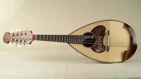 Mandolino calaceChi non si informa adeguatamente in anticipo corre il rischio di ricevere mandolino calace che non hanno la funzione desiderata o sono realizzati con materiali di qualità inferiore. Se volete un prodotto che soddisfi al meglio le vostre aspettative, dovreste provare un mandolino calace.
  <p>Per i prodotti si possono trovare test online e confronti tra i prodotti.  I confronti tra i prodotti possono aiutare a confrontare le diverse funzioni o proprietà dei diversi prodotti. Di seguito, spieghiamo perché la ricerca è importante e di cosa si dovrebbe essere consapevoli quando si acquista un articolo.
</p>

<h2>Acquisto di Mandolino calace - criteri importanti</h2>

<p>Una lista di controllo può aiutarti a evitare di dover cercare informazioni sui prodotti su decine di siti web. Di seguito è riportato un esempio di una lista di controllo che può aiutarvi a trovare il prodotto giusto. Importanti criteri di acquisto includono, ad esempio:
</p><ul>
<li>Opinioni dei clienti</li>
<li>Confronti dei prezzi</li>
<li>Dettagli del prodotto</li>
<li>Termini e condizioni di consegna</li>
<li>Domande dei clienti e risposte dei marchi</li>
</ul>
<h2>Qual è l