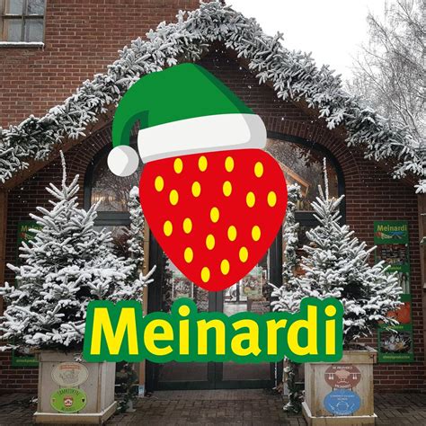 MeinardiChi non si informa adeguatamente in anticipo corre il rischio di ricevere meinardi che non hanno la funzione desiderata o sono realizzati con materiali di qualità inferiore. Se volete un prodotto che soddisfi al meglio le vostre aspettative, dovreste provare un meinardi.
  <p>Per i prodotti si possono trovare test online e confronti tra i prodotti.  I confronti tra i prodotti possono aiutare a confrontare le diverse funzioni o proprietà dei diversi prodotti. Di seguito, spieghiamo perché la ricerca è importante e di cosa si dovrebbe essere consapevoli quando si acquista un articolo.
</p>

<h2>Acquisto di Meinardi - criteri importanti</h2>

<p>Una lista di controllo può aiutarti a evitare di dover cercare informazioni sui prodotti su decine di siti web. Di seguito è riportato un esempio di una lista di controllo che può aiutarvi a trovare il prodotto giusto. Importanti criteri di acquisto includono, ad esempio:
</p><ul>
<li>Opinioni dei clienti</li>
<li>Confronti dei prezzi</li>
<li>Dettagli del prodotto</li>
<li>Termini e condizioni di consegna</li>
<li>Domande dei clienti e risposte dei marchi</li>
</ul>
<h2>Qual è l