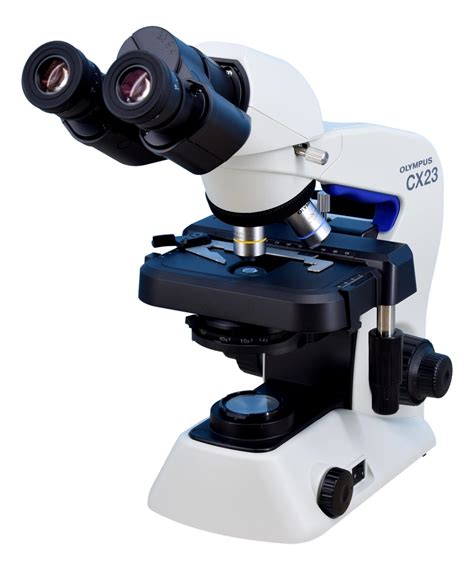 Microscope olympusChi non si informa adeguatamente in anticipo corre il rischio di ricevere microscope olympus che non hanno la funzione desiderata o sono realizzati con materiali di qualità inferiore. Se volete un prodotto che soddisfi al meglio le vostre aspettative, dovreste provare un microscope olympus.
  <p>Per i prodotti si possono trovare test online e confronti tra i prodotti.  I confronti tra i prodotti possono aiutare a confrontare le diverse funzioni o proprietà dei diversi prodotti. Di seguito, spieghiamo perché la ricerca è importante e di cosa si dovrebbe essere consapevoli quando si acquista un articolo.
</p>

<h2>Acquisto di Microscope olympus - criteri importanti</h2>

<p>Una lista di controllo può aiutarti a evitare di dover cercare informazioni sui prodotti su decine di siti web. Di seguito è riportato un esempio di una lista di controllo che può aiutarvi a trovare il prodotto giusto. Importanti criteri di acquisto includono, ad esempio:
</p><ul>
<li>Opinioni dei clienti</li>
<li>Confronti dei prezzi</li>
<li>Dettagli del prodotto</li>
<li>Termini e condizioni di consegna</li>
<li>Domande dei clienti e risposte dei marchi</li>
</ul>
<h2>Qual è l