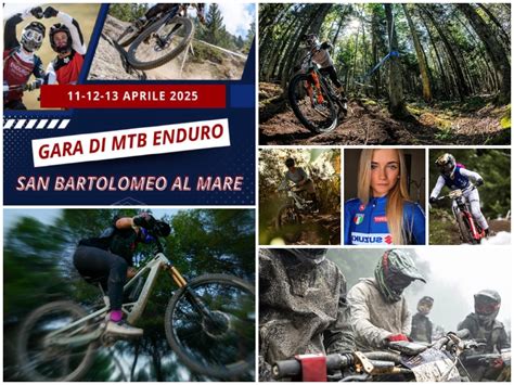 Mtb mareChi non si informa adeguatamente in anticipo corre il rischio di ricevere mtb mare che non hanno la funzione desiderata o sono realizzati con materiali di qualità inferiore. Se volete un prodotto che soddisfi al meglio le vostre aspettative, dovreste provare un mtb mare.
  <p>Per i prodotti si possono trovare test online e confronti tra i prodotti.  I confronti tra i prodotti possono aiutare a confrontare le diverse funzioni o proprietà dei diversi prodotti. Di seguito, spieghiamo perché la ricerca è importante e di cosa si dovrebbe essere consapevoli quando si acquista un articolo.
</p>

<h2>Acquisto di Mtb mare - criteri importanti</h2>

<p>Una lista di controllo può aiutarti a evitare di dover cercare informazioni sui prodotti su decine di siti web. Di seguito è riportato un esempio di una lista di controllo che può aiutarvi a trovare il prodotto giusto. Importanti criteri di acquisto includono, ad esempio:
</p><ul>
<li>Opinioni dei clienti</li>
<li>Confronti dei prezzi</li>
<li>Dettagli del prodotto</li>
<li>Termini e condizioni di consegna</li>
<li>Domande dei clienti e risposte dei marchi</li>
</ul>
<h2>Qual è l