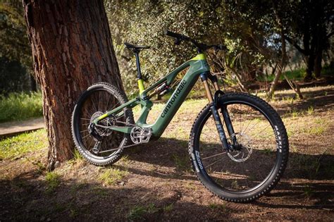 Mtb perfettaChi non si informa adeguatamente in anticipo corre il rischio di ricevere mtb perfetta che non hanno la funzione desiderata o sono realizzati con materiali di qualità inferiore. Se volete un prodotto che soddisfi al meglio le vostre aspettative, dovreste provare un mtb perfetta.
  <p>Per i prodotti si possono trovare test online e confronti tra i prodotti.  I confronti tra i prodotti possono aiutare a confrontare le diverse funzioni o proprietà dei diversi prodotti. Di seguito, spieghiamo perché la ricerca è importante e di cosa si dovrebbe essere consapevoli quando si acquista un articolo.
</p>

<h2>Acquisto di Mtb perfetta - criteri importanti</h2>

<p>Una lista di controllo può aiutarti a evitare di dover cercare informazioni sui prodotti su decine di siti web. Di seguito è riportato un esempio di una lista di controllo che può aiutarvi a trovare il prodotto giusto. Importanti criteri di acquisto includono, ad esempio:
</p><ul>
<li>Opinioni dei clienti</li>
<li>Confronti dei prezzi</li>
<li>Dettagli del prodotto</li>
<li>Termini e condizioni di consegna</li>
<li>Domande dei clienti e risposte dei marchi</li>
</ul>
<h2>Qual è l