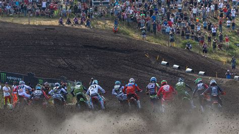 Mx gpChi non si informa adeguatamente in anticipo corre il rischio di ricevere mx gp che non hanno la funzione desiderata o sono realizzati con materiali di qualità inferiore. Se volete un prodotto che soddisfi al meglio le vostre aspettative, dovreste provare un mx gp.
  <p>Per i prodotti si possono trovare test online e confronti tra i prodotti.  I confronti tra i prodotti possono aiutare a confrontare le diverse funzioni o proprietà dei diversi prodotti. Di seguito, spieghiamo perché la ricerca è importante e di cosa si dovrebbe essere consapevoli quando si acquista un articolo.
</p>

<h2>Acquisto di Mx gp - criteri importanti</h2>

<p>Una lista di controllo può aiutarti a evitare di dover cercare informazioni sui prodotti su decine di siti web. Di seguito è riportato un esempio di una lista di controllo che può aiutarvi a trovare il prodotto giusto. Importanti criteri di acquisto includono, ad esempio:
</p><ul>
<li>Opinioni dei clienti</li>
<li>Confronti dei prezzi</li>
<li>Dettagli del prodotto</li>
<li>Termini e condizioni di consegna</li>
<li>Domande dei clienti e risposte dei marchi</li>
</ul>
<h2>Qual è l