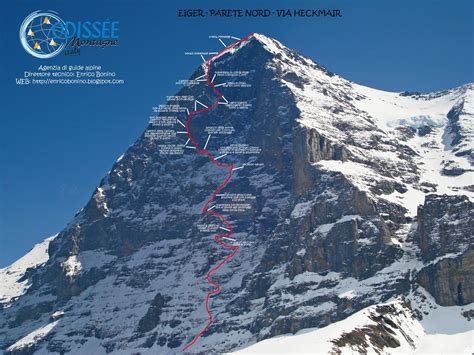 Parete nordChi non si informa adeguatamente in anticipo corre il rischio di ricevere parete nord che non hanno la funzione desiderata o sono realizzati con materiali di qualità inferiore. Se volete un prodotto che soddisfi al meglio le vostre aspettative, dovreste provare un parete nord.
  <p>Per i prodotti si possono trovare test online e confronti tra i prodotti.  I confronti tra i prodotti possono aiutare a confrontare le diverse funzioni o proprietà dei diversi prodotti. Di seguito, spieghiamo perché la ricerca è importante e di cosa si dovrebbe essere consapevoli quando si acquista un articolo.
</p>

<h2>Acquisto di Parete nord - criteri importanti</h2>

<p>Una lista di controllo può aiutarti a evitare di dover cercare informazioni sui prodotti su decine di siti web. Di seguito è riportato un esempio di una lista di controllo che può aiutarvi a trovare il prodotto giusto. Importanti criteri di acquisto includono, ad esempio:
</p><ul>
<li>Opinioni dei clienti</li>
<li>Confronti dei prezzi</li>
<li>Dettagli del prodotto</li>
<li>Termini e condizioni di consegna</li>
<li>Domande dei clienti e risposte dei marchi</li>
</ul>
<h2>Qual è l