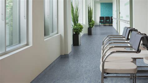 Pavimento linoleumChi non si informa adeguatamente in anticipo corre il rischio di ricevere pavimento linoleum che non hanno la funzione desiderata o sono realizzati con materiali di qualità inferiore. Se volete un prodotto che soddisfi al meglio le vostre aspettative, dovreste provare un pavimento linoleum.
  <p>Per i prodotti si possono trovare test online e confronti tra i prodotti.  I confronti tra i prodotti possono aiutare a confrontare le diverse funzioni o proprietà dei diversi prodotti. Di seguito, spieghiamo perché la ricerca è importante e di cosa si dovrebbe essere consapevoli quando si acquista un articolo.
</p>

<h2>Acquisto di Pavimento linoleum - criteri importanti</h2>

<p>Una lista di controllo può aiutarti a evitare di dover cercare informazioni sui prodotti su decine di siti web. Di seguito è riportato un esempio di una lista di controllo che può aiutarvi a trovare il prodotto giusto. Importanti criteri di acquisto includono, ad esempio:
</p><ul>
<li>Opinioni dei clienti</li>
<li>Confronti dei prezzi</li>
<li>Dettagli del prodotto</li>
<li>Termini e condizioni di consegna</li>
<li>Domande dei clienti e risposte dei marchi</li>
</ul>
<h2>Qual è l