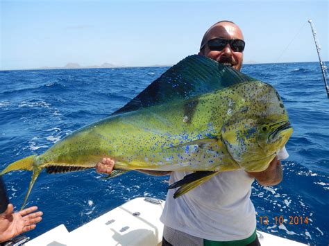 Pesca trainaChi non si informa adeguatamente in anticipo corre il rischio di ricevere pesca traina che non hanno la funzione desiderata o sono realizzati con materiali di qualità inferiore. Se volete un prodotto che soddisfi al meglio le vostre aspettative, dovreste provare un pesca traina.
  <p>Per i prodotti si possono trovare test online e confronti tra i prodotti.  I confronti tra i prodotti possono aiutare a confrontare le diverse funzioni o proprietà dei diversi prodotti. Di seguito, spieghiamo perché la ricerca è importante e di cosa si dovrebbe essere consapevoli quando si acquista un articolo.
</p>

<h2>Acquisto di Pesca traina - criteri importanti</h2>

<p>Una lista di controllo può aiutarti a evitare di dover cercare informazioni sui prodotti su decine di siti web. Di seguito è riportato un esempio di una lista di controllo che può aiutarvi a trovare il prodotto giusto. Importanti criteri di acquisto includono, ad esempio:
</p><ul>
<li>Opinioni dei clienti</li>
<li>Confronti dei prezzi</li>
<li>Dettagli del prodotto</li>
<li>Termini e condizioni di consegna</li>
<li>Domande dei clienti e risposte dei marchi</li>
</ul>
<h2>Qual è l