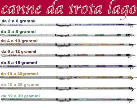 Pesca trota canneChi non si informa adeguatamente in anticipo corre il rischio di ricevere pesca trota canne che non hanno la funzione desiderata o sono realizzati con materiali di qualità inferiore. Se volete un prodotto che soddisfi al meglio le vostre aspettative, dovreste provare un pesca trota canne.
  <p>Per i prodotti si possono trovare test online e confronti tra i prodotti.  I confronti tra i prodotti possono aiutare a confrontare le diverse funzioni o proprietà dei diversi prodotti. Di seguito, spieghiamo perché la ricerca è importante e di cosa si dovrebbe essere consapevoli quando si acquista un articolo.
</p>

<h2>Acquisto di Pesca trota canne - criteri importanti</h2>

<p>Una lista di controllo può aiutarti a evitare di dover cercare informazioni sui prodotti su decine di siti web. Di seguito è riportato un esempio di una lista di controllo che può aiutarvi a trovare il prodotto giusto. Importanti criteri di acquisto includono, ad esempio:
</p><ul>
<li>Opinioni dei clienti</li>
<li>Confronti dei prezzi</li>
<li>Dettagli del prodotto</li>
<li>Termini e condizioni di consegna</li>
<li>Domande dei clienti e risposte dei marchi</li>
</ul>
<h2>Qual è l