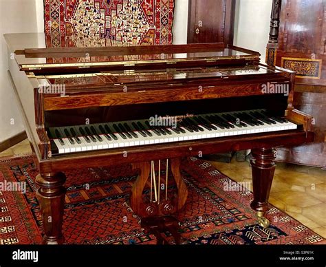 Pianoforte anticoChi non si informa adeguatamente in anticipo corre il rischio di ricevere pianoforte antico che non hanno la funzione desiderata o sono realizzati con materiali di qualità inferiore. Se volete un prodotto che soddisfi al meglio le vostre aspettative, dovreste provare un pianoforte antico.
  <p>Per i prodotti si possono trovare test online e confronti tra i prodotti.  I confronti tra i prodotti possono aiutare a confrontare le diverse funzioni o proprietà dei diversi prodotti. Di seguito, spieghiamo perché la ricerca è importante e di cosa si dovrebbe essere consapevoli quando si acquista un articolo.
</p>

<h2>Acquisto di Pianoforte antico - criteri importanti</h2>

<p>Una lista di controllo può aiutarti a evitare di dover cercare informazioni sui prodotti su decine di siti web. Di seguito è riportato un esempio di una lista di controllo che può aiutarvi a trovare il prodotto giusto. Importanti criteri di acquisto includono, ad esempio:
</p><ul>
<li>Opinioni dei clienti</li>
<li>Confronti dei prezzi</li>
<li>Dettagli del prodotto</li>
<li>Termini e condizioni di consegna</li>
<li>Domande dei clienti e risposte dei marchi</li>
</ul>
<h2>Qual è l