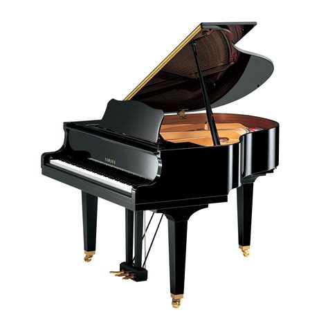 Pianoforte codaChi non si informa adeguatamente in anticipo corre il rischio di ricevere pianoforte coda che non hanno la funzione desiderata o sono realizzati con materiali di qualità inferiore. Se volete un prodotto che soddisfi al meglio le vostre aspettative, dovreste provare un pianoforte coda.
  <p>Per i prodotti si possono trovare test online e confronti tra i prodotti.  I confronti tra i prodotti possono aiutare a confrontare le diverse funzioni o proprietà dei diversi prodotti. Di seguito, spieghiamo perché la ricerca è importante e di cosa si dovrebbe essere consapevoli quando si acquista un articolo.
</p>

<h2>Acquisto di Pianoforte coda - criteri importanti</h2>

<p>Una lista di controllo può aiutarti a evitare di dover cercare informazioni sui prodotti su decine di siti web. Di seguito è riportato un esempio di una lista di controllo che può aiutarvi a trovare il prodotto giusto. Importanti criteri di acquisto includono, ad esempio:
</p><ul>
<li>Opinioni dei clienti</li>
<li>Confronti dei prezzi</li>
<li>Dettagli del prodotto</li>
<li>Termini e condizioni di consegna</li>
<li>Domande dei clienti e risposte dei marchi</li>
</ul>
<h2>Qual è l