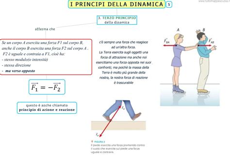 PrincipiChi non si informa adeguatamente in anticipo corre il rischio di ricevere principi che non hanno la funzione desiderata o sono realizzati con materiali di qualità inferiore. Se volete un prodotto che soddisfi al meglio le vostre aspettative, dovreste provare un principi.
  <p>Per i prodotti si possono trovare test online e confronti tra i prodotti.  I confronti tra i prodotti possono aiutare a confrontare le diverse funzioni o proprietà dei diversi prodotti. Di seguito, spieghiamo perché la ricerca è importante e di cosa si dovrebbe essere consapevoli quando si acquista un articolo.
</p>

<h2>Acquisto di Principi - criteri importanti</h2>

<p>Una lista di controllo può aiutarti a evitare di dover cercare informazioni sui prodotti su decine di siti web. Di seguito è riportato un esempio di una lista di controllo che può aiutarvi a trovare il prodotto giusto. Importanti criteri di acquisto includono, ad esempio:
</p><ul>
<li>Opinioni dei clienti</li>
<li>Confronti dei prezzi</li>
<li>Dettagli del prodotto</li>
<li>Termini e condizioni di consegna</li>
<li>Domande dei clienti e risposte dei marchi</li>
</ul>
<h2>Qual è l