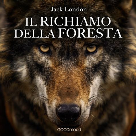 Il richiamo della forestaChi non si informa adeguatamente in anticipo corre il rischio di ricevere il richiamo della foresta che non hanno la funzione desiderata o sono realizzati con materiali di qualità inferiore. Se volete un prodotto che soddisfi al meglio le vostre aspettative, dovreste provare un il richiamo della foresta.
  <p>Per i prodotti si possono trovare test online e confronti tra i prodotti.  I confronti tra i prodotti possono aiutare a confrontare le diverse funzioni o proprietà dei diversi prodotti. Di seguito, spieghiamo perché la ricerca è importante e di cosa si dovrebbe essere consapevoli quando si acquista un articolo.
</p>

<h2>Acquisto di Il richiamo della foresta - criteri importanti</h2>

<p>Una lista di controllo può aiutarti a evitare di dover cercare informazioni sui prodotti su decine di siti web. Di seguito è riportato un esempio di una lista di controllo che può aiutarvi a trovare il prodotto giusto. Importanti criteri di acquisto includono, ad esempio:
</p><ul>
<li>Opinioni dei clienti</li>
<li>Confronti dei prezzi</li>
<li>Dettagli del prodotto</li>
<li>Termini e condizioni di consegna</li>
<li>Domande dei clienti e risposte dei marchi</li>
</ul>
<h2>Qual è l