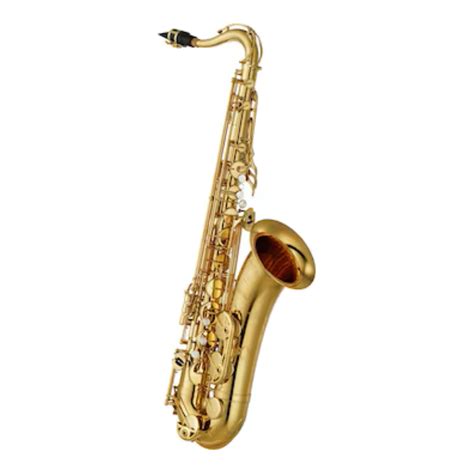 Saxophon tenorChi non si informa adeguatamente in anticipo corre il rischio di ricevere saxophon tenor che non hanno la funzione desiderata o sono realizzati con materiali di qualità inferiore. Se volete un prodotto che soddisfi al meglio le vostre aspettative, dovreste provare un saxophon tenor.
  <p>Per i prodotti si possono trovare test online e confronti tra i prodotti.  I confronti tra i prodotti possono aiutare a confrontare le diverse funzioni o proprietà dei diversi prodotti. Di seguito, spieghiamo perché la ricerca è importante e di cosa si dovrebbe essere consapevoli quando si acquista un articolo.
</p>

<h2>Acquisto di Saxophon tenor - criteri importanti</h2>

<p>Una lista di controllo può aiutarti a evitare di dover cercare informazioni sui prodotti su decine di siti web. Di seguito è riportato un esempio di una lista di controllo che può aiutarvi a trovare il prodotto giusto. Importanti criteri di acquisto includono, ad esempio:
</p><ul>
<li>Opinioni dei clienti</li>
<li>Confronti dei prezzi</li>
<li>Dettagli del prodotto</li>
<li>Termini e condizioni di consegna</li>
<li>Domande dei clienti e risposte dei marchi</li>
</ul>
<h2>Qual è l