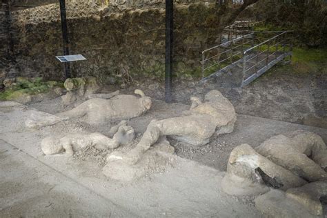 Scavi di pompeiChi non si informa adeguatamente in anticipo corre il rischio di ricevere scavi di pompei che non hanno la funzione desiderata o sono realizzati con materiali di qualità inferiore. Se volete un prodotto che soddisfi al meglio le vostre aspettative, dovreste provare un scavi di pompei.
  <p>Per i prodotti si possono trovare test online e confronti tra i prodotti.  I confronti tra i prodotti possono aiutare a confrontare le diverse funzioni o proprietà dei diversi prodotti. Di seguito, spieghiamo perché la ricerca è importante e di cosa si dovrebbe essere consapevoli quando si acquista un articolo.
</p>

<h2>Acquisto di Scavi di pompei - criteri importanti</h2>

<p>Una lista di controllo può aiutarti a evitare di dover cercare informazioni sui prodotti su decine di siti web. Di seguito è riportato un esempio di una lista di controllo che può aiutarvi a trovare il prodotto giusto. Importanti criteri di acquisto includono, ad esempio:
</p><ul>
<li>Opinioni dei clienti</li>
<li>Confronti dei prezzi</li>
<li>Dettagli del prodotto</li>
<li>Termini e condizioni di consegna</li>
<li>Domande dei clienti e risposte dei marchi</li>
</ul>
<h2>Qual è l