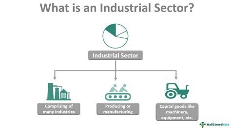 SectorChi non si informa adeguatamente in anticipo corre il rischio di ricevere sector che non hanno la funzione desiderata o sono realizzati con materiali di qualità inferiore. Se volete un prodotto che soddisfi al meglio le vostre aspettative, dovreste provare un sector.
  <p>Per i prodotti si possono trovare test online e confronti tra i prodotti.  I confronti tra i prodotti possono aiutare a confrontare le diverse funzioni o proprietà dei diversi prodotti. Di seguito, spieghiamo perché la ricerca è importante e di cosa si dovrebbe essere consapevoli quando si acquista un articolo.
</p>

<h2>Acquisto di Sector - criteri importanti</h2>

<p>Una lista di controllo può aiutarti a evitare di dover cercare informazioni sui prodotti su decine di siti web. Di seguito è riportato un esempio di una lista di controllo che può aiutarvi a trovare il prodotto giusto. Importanti criteri di acquisto includono, ad esempio:
</p><ul>
<li>Opinioni dei clienti</li>
<li>Confronti dei prezzi</li>
<li>Dettagli del prodotto</li>
<li>Termini e condizioni di consegna</li>
<li>Domande dei clienti e risposte dei marchi</li>
</ul>
<h2>Qual è l