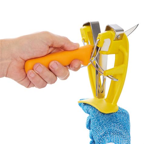 Sharp easyChi non si informa adeguatamente in anticipo corre il rischio di ricevere sharp easy che non hanno la funzione desiderata o sono realizzati con materiali di qualità inferiore. Se volete un prodotto che soddisfi al meglio le vostre aspettative, dovreste provare un sharp easy.
  <p>Per i prodotti si possono trovare test online e confronti tra i prodotti.  I confronti tra i prodotti possono aiutare a confrontare le diverse funzioni o proprietà dei diversi prodotti. Di seguito, spieghiamo perché la ricerca è importante e di cosa si dovrebbe essere consapevoli quando si acquista un articolo.
</p>

<h2>Acquisto di Sharp easy - criteri importanti</h2>

<p>Una lista di controllo può aiutarti a evitare di dover cercare informazioni sui prodotti su decine di siti web. Di seguito è riportato un esempio di una lista di controllo che può aiutarvi a trovare il prodotto giusto. Importanti criteri di acquisto includono, ad esempio:
</p><ul>
<li>Opinioni dei clienti</li>
<li>Confronti dei prezzi</li>
<li>Dettagli del prodotto</li>
<li>Termini e condizioni di consegna</li>
<li>Domande dei clienti e risposte dei marchi</li>
</ul>
<h2>Qual è l