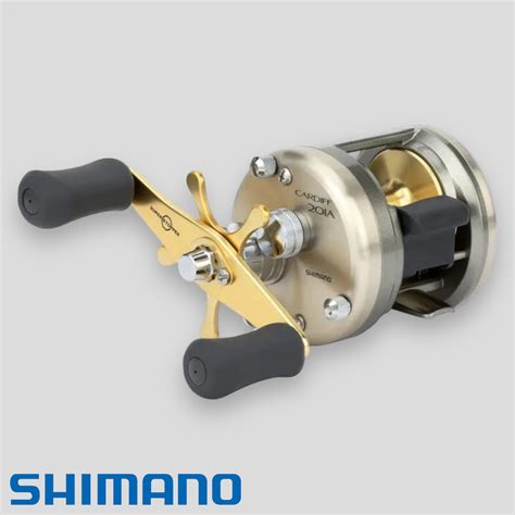 Shimano cardiffChi non si informa adeguatamente in anticipo corre il rischio di ricevere shimano cardiff che non hanno la funzione desiderata o sono realizzati con materiali di qualità inferiore. Se volete un prodotto che soddisfi al meglio le vostre aspettative, dovreste provare un shimano cardiff.
  <p>Per i prodotti si possono trovare test online e confronti tra i prodotti.  I confronti tra i prodotti possono aiutare a confrontare le diverse funzioni o proprietà dei diversi prodotti. Di seguito, spieghiamo perché la ricerca è importante e di cosa si dovrebbe essere consapevoli quando si acquista un articolo.
</p>

<h2>Acquisto di Shimano cardiff - criteri importanti</h2>

<p>Una lista di controllo può aiutarti a evitare di dover cercare informazioni sui prodotti su decine di siti web. Di seguito è riportato un esempio di una lista di controllo che può aiutarvi a trovare il prodotto giusto. Importanti criteri di acquisto includono, ad esempio:
</p><ul>
<li>Opinioni dei clienti</li>
<li>Confronti dei prezzi</li>
<li>Dettagli del prodotto</li>
<li>Termini e condizioni di consegna</li>
<li>Domande dei clienti e risposte dei marchi</li>
</ul>
<h2>Qual è l