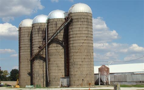 SilosChi non si informa adeguatamente in anticipo corre il rischio di ricevere silos che non hanno la funzione desiderata o sono realizzati con materiali di qualità inferiore. Se volete un prodotto che soddisfi al meglio le vostre aspettative, dovreste provare un silos.
  <p>Per i prodotti si possono trovare test online e confronti tra i prodotti.  I confronti tra i prodotti possono aiutare a confrontare le diverse funzioni o proprietà dei diversi prodotti. Di seguito, spieghiamo perché la ricerca è importante e di cosa si dovrebbe essere consapevoli quando si acquista un articolo.
</p>

<h2>Acquisto di Silos - criteri importanti</h2>

<p>Una lista di controllo può aiutarti a evitare di dover cercare informazioni sui prodotti su decine di siti web. Di seguito è riportato un esempio di una lista di controllo che può aiutarvi a trovare il prodotto giusto. Importanti criteri di acquisto includono, ad esempio:
</p><ul>
<li>Opinioni dei clienti</li>
<li>Confronti dei prezzi</li>
<li>Dettagli del prodotto</li>
<li>Termini e condizioni di consegna</li>
<li>Domande dei clienti e risposte dei marchi</li>
</ul>
<h2>Qual è l