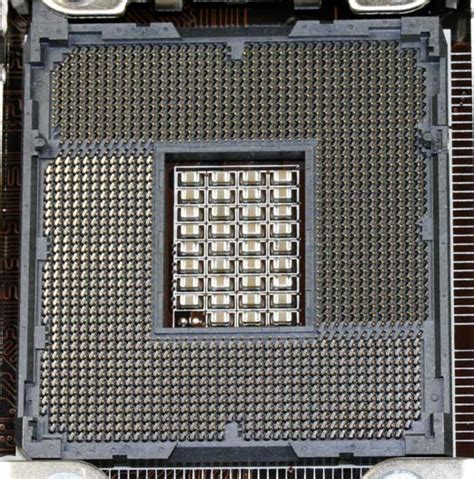 Socket 1366Chi non si informa adeguatamente in anticipo corre il rischio di ricevere socket 1366 che non hanno la funzione desiderata o sono realizzati con materiali di qualità inferiore. Se volete un prodotto che soddisfi al meglio le vostre aspettative, dovreste provare un socket 1366.
  <p>Per i prodotti si possono trovare test online e confronti tra i prodotti.  I confronti tra i prodotti possono aiutare a confrontare le diverse funzioni o proprietà dei diversi prodotti. Di seguito, spieghiamo perché la ricerca è importante e di cosa si dovrebbe essere consapevoli quando si acquista un articolo.
</p>

<h2>Acquisto di Socket 1366 - criteri importanti</h2>

<p>Una lista di controllo può aiutarti a evitare di dover cercare informazioni sui prodotti su decine di siti web. Di seguito è riportato un esempio di una lista di controllo che può aiutarvi a trovare il prodotto giusto. Importanti criteri di acquisto includono, ad esempio:
</p><ul>
<li>Opinioni dei clienti</li>
<li>Confronti dei prezzi</li>
<li>Dettagli del prodotto</li>
<li>Termini e condizioni di consegna</li>
<li>Domande dei clienti e risposte dei marchi</li>
</ul>
<h2>Qual è l