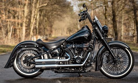 SoftailChi non si informa adeguatamente in anticipo corre il rischio di ricevere softail che non hanno la funzione desiderata o sono realizzati con materiali di qualità inferiore. Se volete un prodotto che soddisfi al meglio le vostre aspettative, dovreste provare un softail.
  <p>Per i prodotti si possono trovare test online e confronti tra i prodotti.  I confronti tra i prodotti possono aiutare a confrontare le diverse funzioni o proprietà dei diversi prodotti. Di seguito, spieghiamo perché la ricerca è importante e di cosa si dovrebbe essere consapevoli quando si acquista un articolo.
</p>

<h2>Acquisto di Softail - criteri importanti</h2>

<p>Una lista di controllo può aiutarti a evitare di dover cercare informazioni sui prodotti su decine di siti web. Di seguito è riportato un esempio di una lista di controllo che può aiutarvi a trovare il prodotto giusto. Importanti criteri di acquisto includono, ad esempio:
</p><ul>
<li>Opinioni dei clienti</li>
<li>Confronti dei prezzi</li>
<li>Dettagli del prodotto</li>
<li>Termini e condizioni di consegna</li>
<li>Domande dei clienti e risposte dei marchi</li>
</ul>
<h2>Qual è l