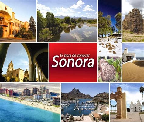 SonoraChi non si informa adeguatamente in anticipo corre il rischio di ricevere sonora che non hanno la funzione desiderata o sono realizzati con materiali di qualità inferiore. Se volete un prodotto che soddisfi al meglio le vostre aspettative, dovreste provare un sonora.
  <p>Per i prodotti si possono trovare test online e confronti tra i prodotti.  I confronti tra i prodotti possono aiutare a confrontare le diverse funzioni o proprietà dei diversi prodotti. Di seguito, spieghiamo perché la ricerca è importante e di cosa si dovrebbe essere consapevoli quando si acquista un articolo.
</p>

<h2>Acquisto di Sonora - criteri importanti</h2>

<p>Una lista di controllo può aiutarti a evitare di dover cercare informazioni sui prodotti su decine di siti web. Di seguito è riportato un esempio di una lista di controllo che può aiutarvi a trovare il prodotto giusto. Importanti criteri di acquisto includono, ad esempio:
</p><ul>
<li>Opinioni dei clienti</li>
<li>Confronti dei prezzi</li>
<li>Dettagli del prodotto</li>
<li>Termini e condizioni di consegna</li>
<li>Domande dei clienti e risposte dei marchi</li>
</ul>
<h2>Qual è l