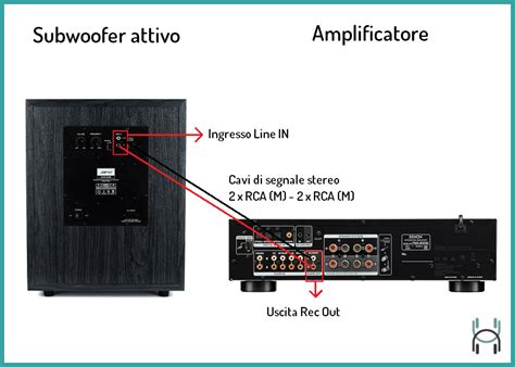 Sub subwoofer amplificatoreChi non si informa adeguatamente in anticipo corre il rischio di ricevere sub subwoofer amplificatore che non hanno la funzione desiderata o sono realizzati con materiali di qualità inferiore. Se volete un prodotto che soddisfi al meglio le vostre aspettative, dovreste provare un sub subwoofer amplificatore.
  <p>Per i prodotti si possono trovare test online e confronti tra i prodotti.  I confronti tra i prodotti possono aiutare a confrontare le diverse funzioni o proprietà dei diversi prodotti. Di seguito, spieghiamo perché la ricerca è importante e di cosa si dovrebbe essere consapevoli quando si acquista un articolo.
</p>

<h2>Acquisto di Sub subwoofer amplificatore - criteri importanti</h2>

<p>Una lista di controllo può aiutarti a evitare di dover cercare informazioni sui prodotti su decine di siti web. Di seguito è riportato un esempio di una lista di controllo che può aiutarvi a trovare il prodotto giusto. Importanti criteri di acquisto includono, ad esempio:
</p><ul>
<li>Opinioni dei clienti</li>
<li>Confronti dei prezzi</li>
<li>Dettagli del prodotto</li>
<li>Termini e condizioni di consegna</li>
<li>Domande dei clienti e risposte dei marchi</li>
</ul>
<h2>Qual è l