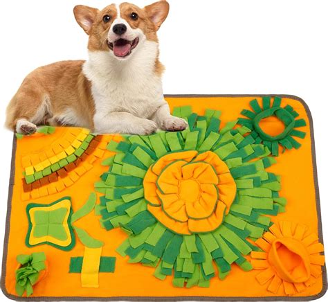 Tappetino caneChi non si informa adeguatamente in anticipo corre il rischio di ricevere tappetino cane che non hanno la funzione desiderata o sono realizzati con materiali di qualità inferiore. Se volete un prodotto che soddisfi al meglio le vostre aspettative, dovreste provare un tappetino cane.
  <p>Per i prodotti si possono trovare test online e confronti tra i prodotti.  I confronti tra i prodotti possono aiutare a confrontare le diverse funzioni o proprietà dei diversi prodotti. Di seguito, spieghiamo perché la ricerca è importante e di cosa si dovrebbe essere consapevoli quando si acquista un articolo.
</p>

<h2>Acquisto di Tappetino cane - criteri importanti</h2>

<p>Una lista di controllo può aiutarti a evitare di dover cercare informazioni sui prodotti su decine di siti web. Di seguito è riportato un esempio di una lista di controllo che può aiutarvi a trovare il prodotto giusto. Importanti criteri di acquisto includono, ad esempio:
</p><ul>
<li>Opinioni dei clienti</li>
<li>Confronti dei prezzi</li>
<li>Dettagli del prodotto</li>
<li>Termini e condizioni di consegna</li>
<li>Domande dei clienti e risposte dei marchi</li>
</ul>
<h2>Qual è l