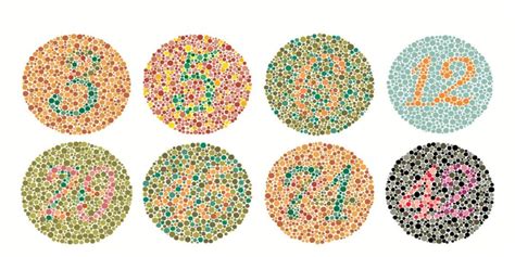 Tavole ishiharaChi non si informa adeguatamente in anticipo corre il rischio di ricevere tavole ishihara che non hanno la funzione desiderata o sono realizzati con materiali di qualità inferiore. Se volete un prodotto che soddisfi al meglio le vostre aspettative, dovreste provare un tavole ishihara.
  <p>Per i prodotti si possono trovare test online e confronti tra i prodotti.  I confronti tra i prodotti possono aiutare a confrontare le diverse funzioni o proprietà dei diversi prodotti. Di seguito, spieghiamo perché la ricerca è importante e di cosa si dovrebbe essere consapevoli quando si acquista un articolo.
</p>

<h2>Acquisto di Tavole ishihara - criteri importanti</h2>

<p>Una lista di controllo può aiutarti a evitare di dover cercare informazioni sui prodotti su decine di siti web. Di seguito è riportato un esempio di una lista di controllo che può aiutarvi a trovare il prodotto giusto. Importanti criteri di acquisto includono, ad esempio:
</p><ul>
<li>Opinioni dei clienti</li>
<li>Confronti dei prezzi</li>
<li>Dettagli del prodotto</li>
<li>Termini e condizioni di consegna</li>
<li>Domande dei clienti e risposte dei marchi</li>
</ul>
<h2>Qual è l