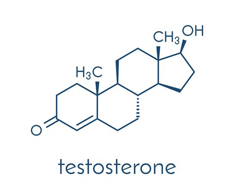 TestosteroneChi non si informa adeguatamente in anticipo corre il rischio di ricevere testosterone che non hanno la funzione desiderata o sono realizzati con materiali di qualità inferiore. Se volete un prodotto che soddisfi al meglio le vostre aspettative, dovreste provare un testosterone.
  <p>Per i prodotti si possono trovare test online e confronti tra i prodotti.  I confronti tra i prodotti possono aiutare a confrontare le diverse funzioni o proprietà dei diversi prodotti. Di seguito, spieghiamo perché la ricerca è importante e di cosa si dovrebbe essere consapevoli quando si acquista un articolo.
</p>

<h2>Acquisto di Testosterone - criteri importanti</h2>

<p>Una lista di controllo può aiutarti a evitare di dover cercare informazioni sui prodotti su decine di siti web. Di seguito è riportato un esempio di una lista di controllo che può aiutarvi a trovare il prodotto giusto. Importanti criteri di acquisto includono, ad esempio:
</p><ul>
<li>Opinioni dei clienti</li>
<li>Confronti dei prezzi</li>
<li>Dettagli del prodotto</li>
<li>Termini e condizioni di consegna</li>
<li>Domande dei clienti e risposte dei marchi</li>
</ul>
<h2>Qual è l