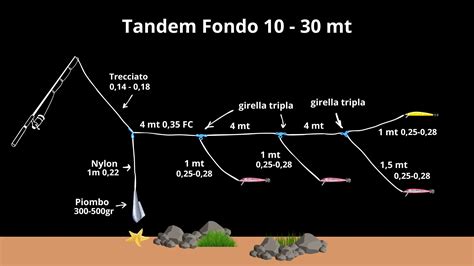 TrainaChi non si informa adeguatamente in anticipo corre il rischio di ricevere traina che non hanno la funzione desiderata o sono realizzati con materiali di qualità inferiore. Se volete un prodotto che soddisfi al meglio le vostre aspettative, dovreste provare un traina.
  <p>Per i prodotti si possono trovare test online e confronti tra i prodotti.  I confronti tra i prodotti possono aiutare a confrontare le diverse funzioni o proprietà dei diversi prodotti. Di seguito, spieghiamo perché la ricerca è importante e di cosa si dovrebbe essere consapevoli quando si acquista un articolo.
</p>

<h2>Acquisto di Traina - criteri importanti</h2>

<p>Una lista di controllo può aiutarti a evitare di dover cercare informazioni sui prodotti su decine di siti web. Di seguito è riportato un esempio di una lista di controllo che può aiutarvi a trovare il prodotto giusto. Importanti criteri di acquisto includono, ad esempio:
</p><ul>
<li>Opinioni dei clienti</li>
<li>Confronti dei prezzi</li>
<li>Dettagli del prodotto</li>
<li>Termini e condizioni di consegna</li>
<li>Domande dei clienti e risposte dei marchi</li>
</ul>
<h2>Qual è l