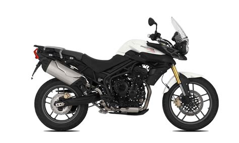 Triumph tiger 800 absChi non si informa adeguatamente in anticipo corre il rischio di ricevere triumph tiger 800 abs che non hanno la funzione desiderata o sono realizzati con materiali di qualità inferiore. Se volete un prodotto che soddisfi al meglio le vostre aspettative, dovreste provare un triumph tiger 800 abs.
  <p>Per i prodotti si possono trovare test online e confronti tra i prodotti.  I confronti tra i prodotti possono aiutare a confrontare le diverse funzioni o proprietà dei diversi prodotti. Di seguito, spieghiamo perché la ricerca è importante e di cosa si dovrebbe essere consapevoli quando si acquista un articolo.
</p>

<h2>Acquisto di Triumph tiger 800 abs - criteri importanti</h2>

<p>Una lista di controllo può aiutarti a evitare di dover cercare informazioni sui prodotti su decine di siti web. Di seguito è riportato un esempio di una lista di controllo che può aiutarvi a trovare il prodotto giusto. Importanti criteri di acquisto includono, ad esempio:
</p><ul>
<li>Opinioni dei clienti</li>
<li>Confronti dei prezzi</li>
<li>Dettagli del prodotto</li>
<li>Termini e condizioni di consegna</li>
<li>Domande dei clienti e risposte dei marchi</li>
</ul>
<h2>Qual è l