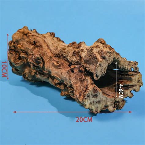 Tronco acquarioChi non si informa adeguatamente in anticipo corre il rischio di ricevere tronco acquario che non hanno la funzione desiderata o sono realizzati con materiali di qualità inferiore. Se volete un prodotto che soddisfi al meglio le vostre aspettative, dovreste provare un tronco acquario.
  <p>Per i prodotti si possono trovare test online e confronti tra i prodotti.  I confronti tra i prodotti possono aiutare a confrontare le diverse funzioni o proprietà dei diversi prodotti. Di seguito, spieghiamo perché la ricerca è importante e di cosa si dovrebbe essere consapevoli quando si acquista un articolo.
</p>

<h2>Acquisto di Tronco acquario - criteri importanti</h2>

<p>Una lista di controllo può aiutarti a evitare di dover cercare informazioni sui prodotti su decine di siti web. Di seguito è riportato un esempio di una lista di controllo che può aiutarvi a trovare il prodotto giusto. Importanti criteri di acquisto includono, ad esempio:
</p><ul>
<li>Opinioni dei clienti</li>
<li>Confronti dei prezzi</li>
<li>Dettagli del prodotto</li>
<li>Termini e condizioni di consegna</li>
<li>Domande dei clienti e risposte dei marchi</li>
</ul>
<h2>Qual è l