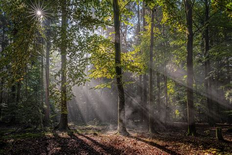 WaldChi non si informa adeguatamente in anticipo corre il rischio di ricevere wald che non hanno la funzione desiderata o sono realizzati con materiali di qualità inferiore. Se volete un prodotto che soddisfi al meglio le vostre aspettative, dovreste provare un wald.
  <p>Per i prodotti si possono trovare test online e confronti tra i prodotti.  I confronti tra i prodotti possono aiutare a confrontare le diverse funzioni o proprietà dei diversi prodotti. Di seguito, spieghiamo perché la ricerca è importante e di cosa si dovrebbe essere consapevoli quando si acquista un articolo.
</p>

<h2>Acquisto di Wald - criteri importanti</h2>

<p>Una lista di controllo può aiutarti a evitare di dover cercare informazioni sui prodotti su decine di siti web. Di seguito è riportato un esempio di una lista di controllo che può aiutarvi a trovare il prodotto giusto. Importanti criteri di acquisto includono, ad esempio:
</p><ul>
<li>Opinioni dei clienti</li>
<li>Confronti dei prezzi</li>
<li>Dettagli del prodotto</li>
<li>Termini e condizioni di consegna</li>
<li>Domande dei clienti e risposte dei marchi</li>
</ul>
<h2>Qual è l