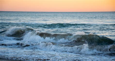 WavesChi non si informa adeguatamente in anticipo corre il rischio di ricevere waves che non hanno la funzione desiderata o sono realizzati con materiali di qualità inferiore. Se volete un prodotto che soddisfi al meglio le vostre aspettative, dovreste provare un waves.
  <p>Per i prodotti si possono trovare test online e confronti tra i prodotti.  I confronti tra i prodotti possono aiutare a confrontare le diverse funzioni o proprietà dei diversi prodotti. Di seguito, spieghiamo perché la ricerca è importante e di cosa si dovrebbe essere consapevoli quando si acquista un articolo.
</p>

<h2>Acquisto di Waves - criteri importanti</h2>

<p>Una lista di controllo può aiutarti a evitare di dover cercare informazioni sui prodotti su decine di siti web. Di seguito è riportato un esempio di una lista di controllo che può aiutarvi a trovare il prodotto giusto. Importanti criteri di acquisto includono, ad esempio:
</p><ul>
<li>Opinioni dei clienti</li>
<li>Confronti dei prezzi</li>
<li>Dettagli del prodotto</li>
<li>Termini e condizioni di consegna</li>
<li>Domande dei clienti e risposte dei marchi</li>
</ul>
<h2>Qual è l