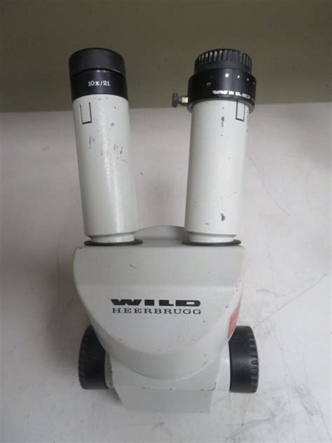 Wild microscopeChi non si informa adeguatamente in anticipo corre il rischio di ricevere wild microscope che non hanno la funzione desiderata o sono realizzati con materiali di qualità inferiore. Se volete un prodotto che soddisfi al meglio le vostre aspettative, dovreste provare un wild microscope.
  <p>Per i prodotti si possono trovare test online e confronti tra i prodotti.  I confronti tra i prodotti possono aiutare a confrontare le diverse funzioni o proprietà dei diversi prodotti. Di seguito, spieghiamo perché la ricerca è importante e di cosa si dovrebbe essere consapevoli quando si acquista un articolo.
</p>

<h2>Acquisto di Wild microscope - criteri importanti</h2>

<p>Una lista di controllo può aiutarti a evitare di dover cercare informazioni sui prodotti su decine di siti web. Di seguito è riportato un esempio di una lista di controllo che può aiutarvi a trovare il prodotto giusto. Importanti criteri di acquisto includono, ad esempio:
</p><ul>
<li>Opinioni dei clienti</li>
<li>Confronti dei prezzi</li>
<li>Dettagli del prodotto</li>
<li>Termini e condizioni di consegna</li>
<li>Domande dei clienti e risposte dei marchi</li>
</ul>
<h2>Qual è l